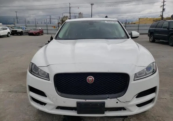 Jaguar F-Pace cena 69900 przebieg: 63418, rok produkcji 2019 z Chełm małe 56